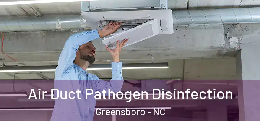 Air Duct Pathogen Disinfection Greensboro - NC
