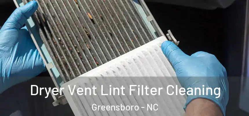 Dryer Vent Lint Filter Cleaning Greensboro - NC