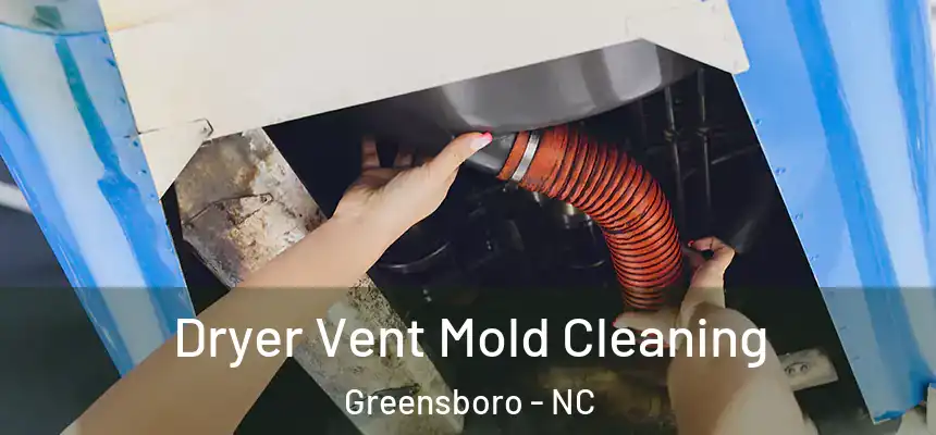 Dryer Vent Mold Cleaning Greensboro - NC