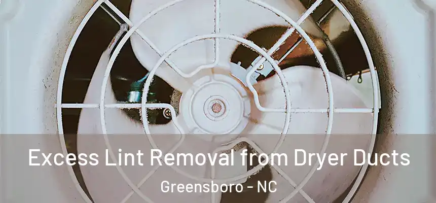 Excess Lint Removal from Dryer Ducts Greensboro - NC