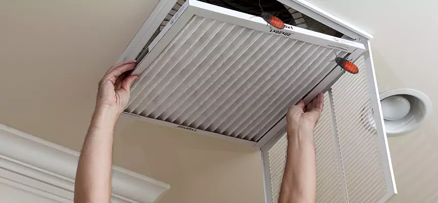 Preventive Cockroach-Proofing for Ducts in Greensboro