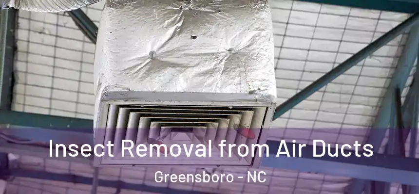  Insect Removal from Air Ducts Greensboro - NC