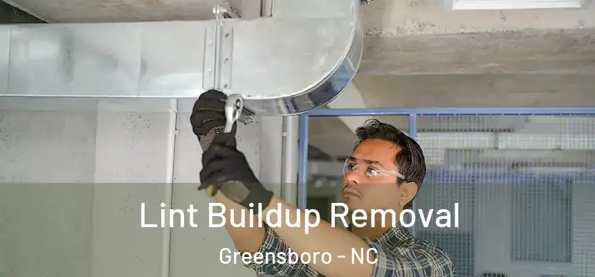 Lint Buildup Removal Greensboro - NC