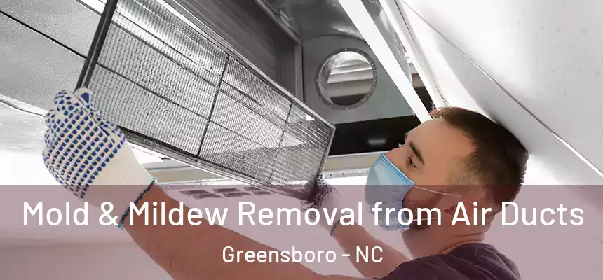 Mold & Mildew Removal from Air Ducts Greensboro - NC