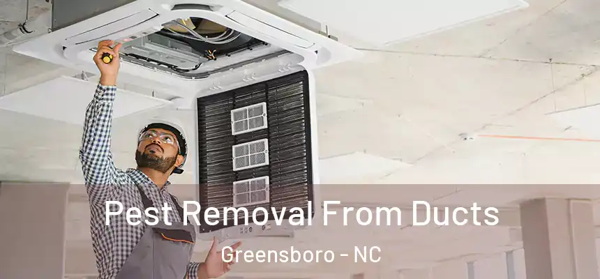Pest Removal From Ducts Greensboro - NC