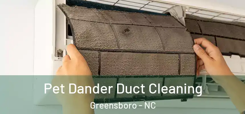  Pet Dander Duct Cleaning Greensboro - NC