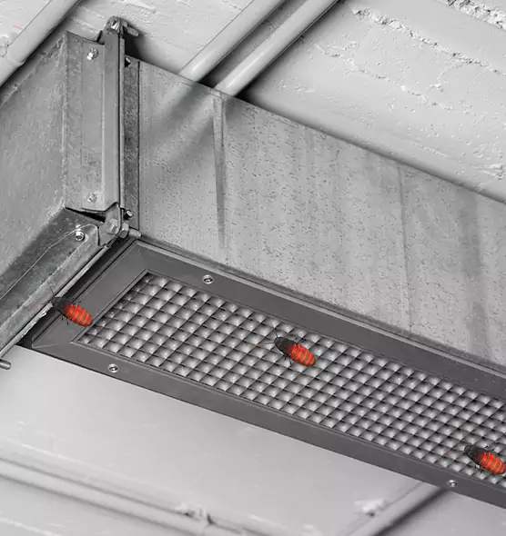 About Air Duct Cockroach Removal in Greensboro, NC