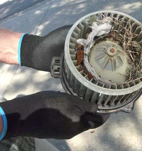 About Air Duct Rat Removal in Greensboro, NC