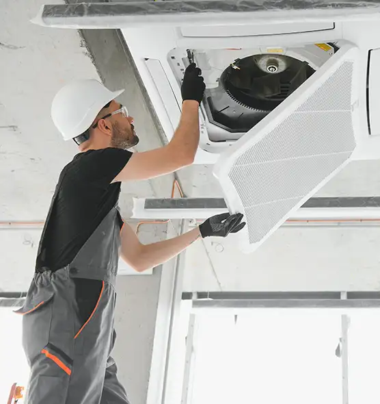 About Air Duct Rodent Removal in Greensboro, NC