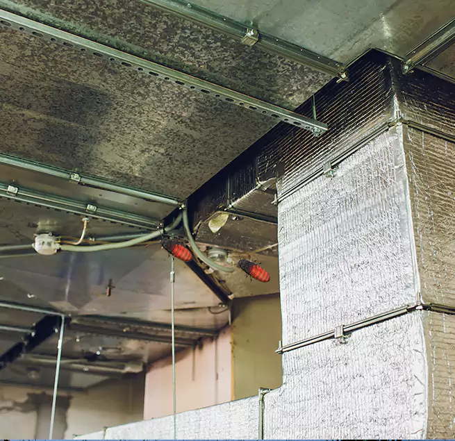 Why Homeowners & Businesses Trust Us in Greensboro, NC?