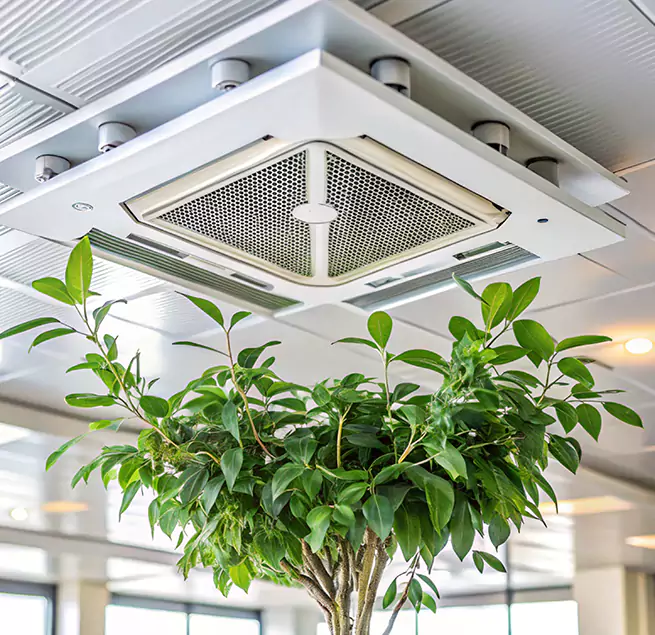 Why Homeowners & Businesses Trust Us in Greensboro, NC